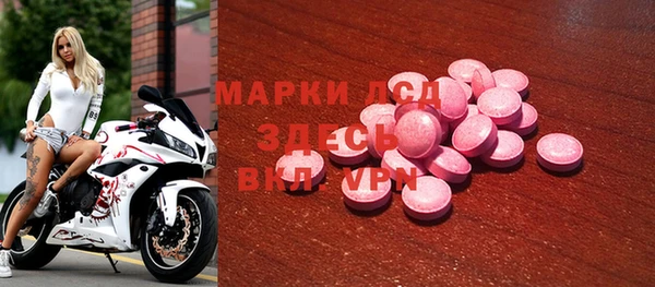 шишки Алзамай