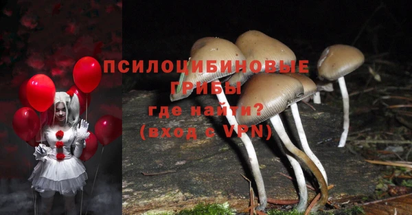 шишки Алзамай
